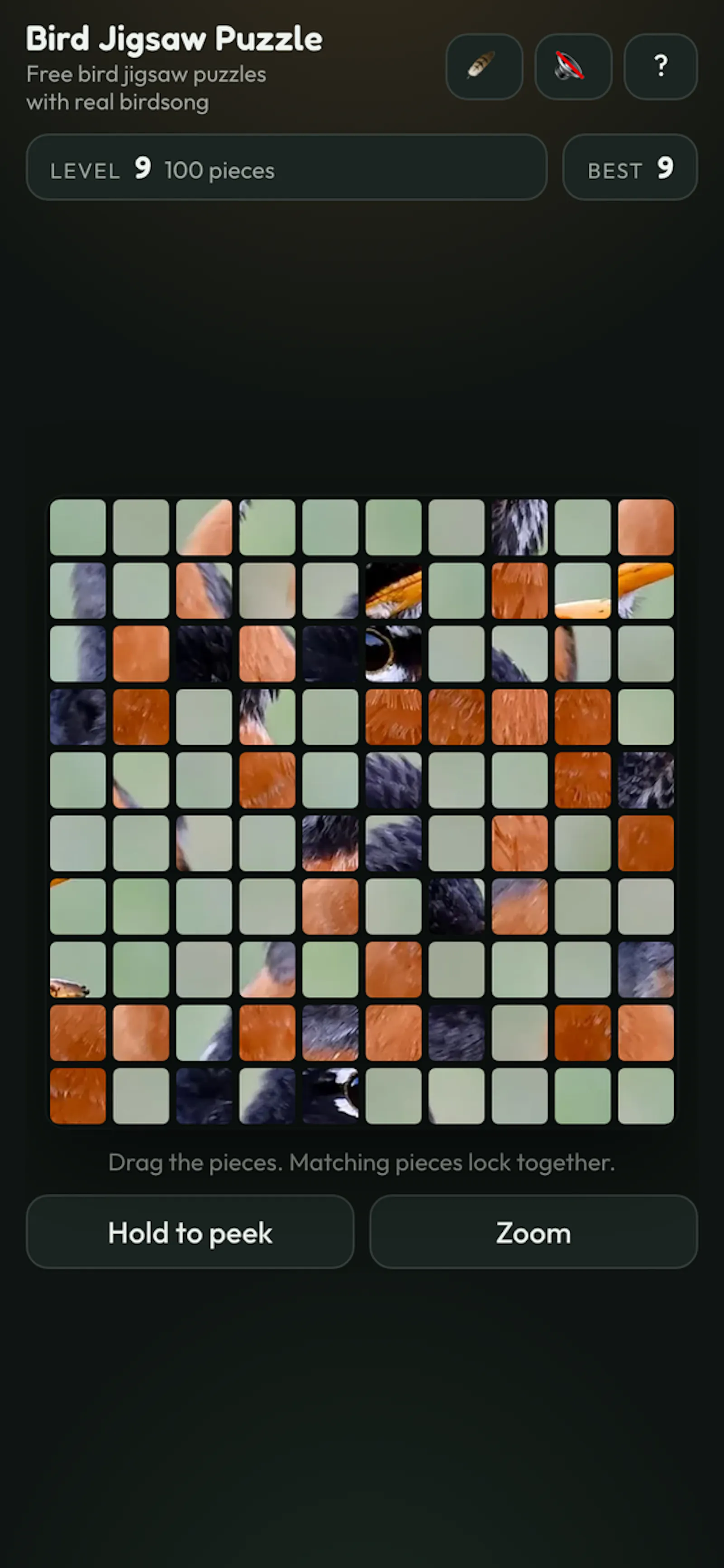 Endless Bird Jigsaw Puzzle screenshot 3