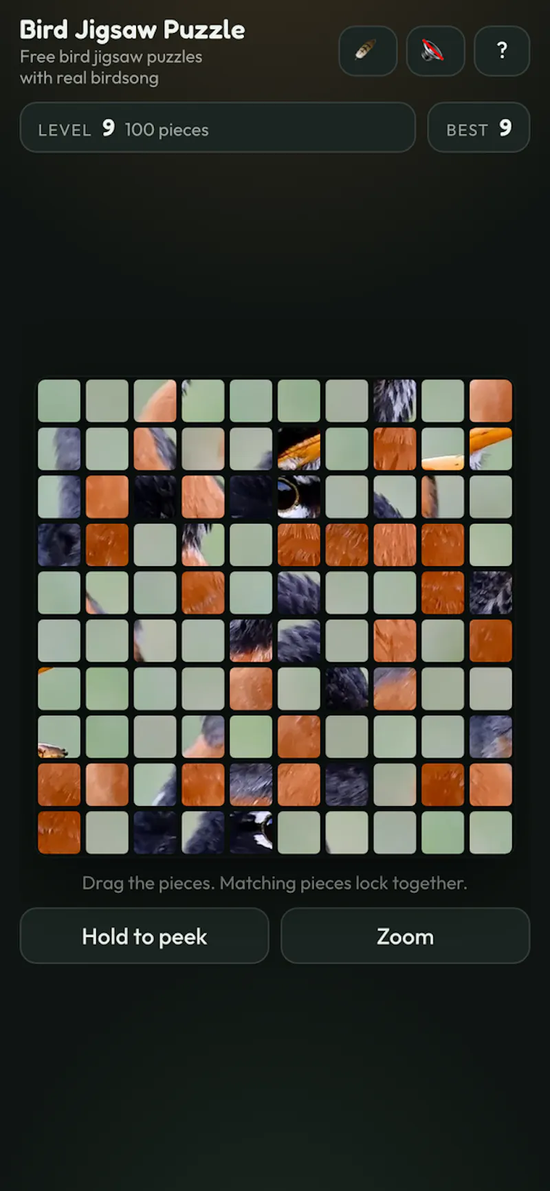 Endless Bird Jigsaw Puzzle screenshot 3