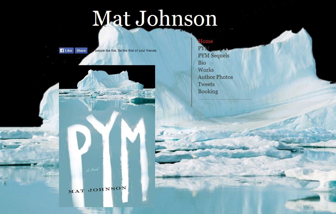 Pym: A Novel gallery image