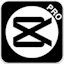 CapCut Mod Apk