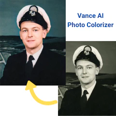 Vance AI Photo Colorizer