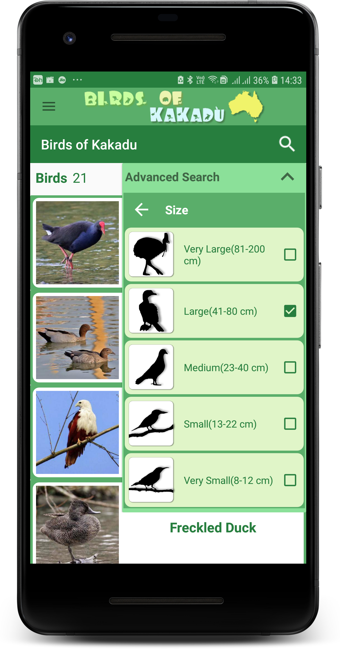 Birds of Kakadu Australia Northern Side gallery image