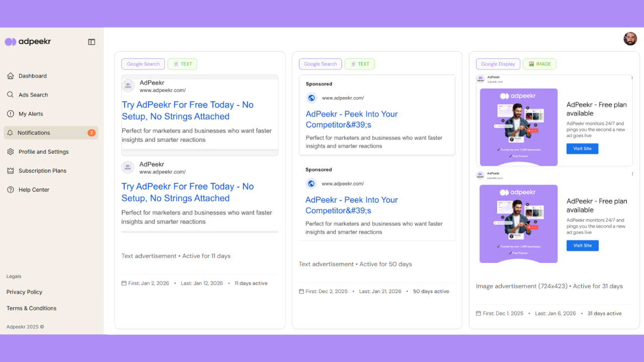 New AdPeekr feature: Google Ads Alerts gallery image