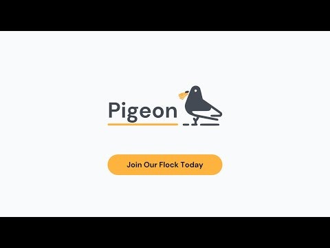 Pigeon gallery image