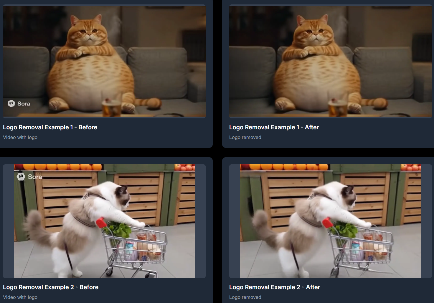 RemoveWatermark gallery image