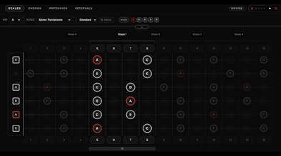 Soundgate Guitar Fretboard gallery image