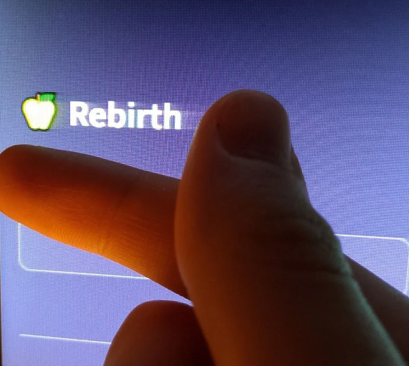 Rebirth - AI Nutritionist (Student Proj) logo