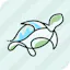 Terrapin