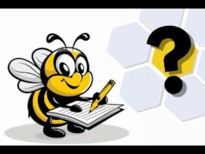 Spell Bee Game - Free & Online gallery image