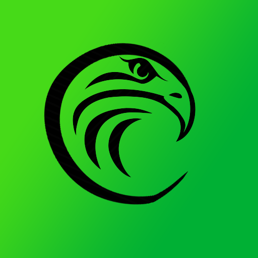 CryptoHawk gallery image