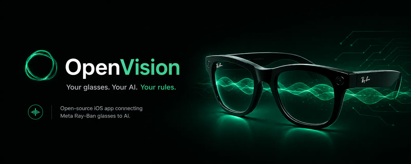 OpenVision screenshot 1