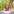 Meditation Teacher Training Online