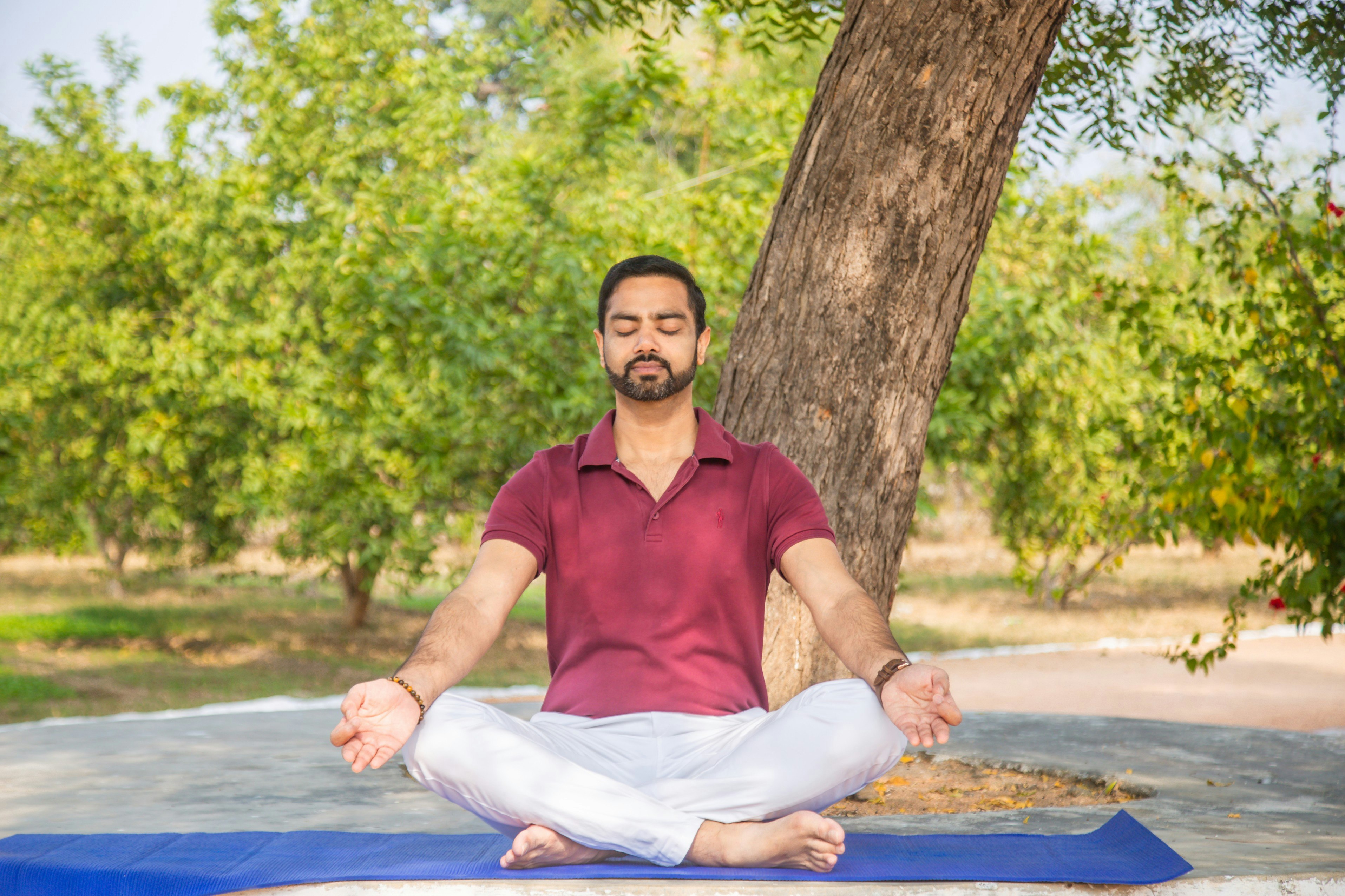 Meditation Teacher T... logo