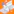 DesignO Magento Product Designer