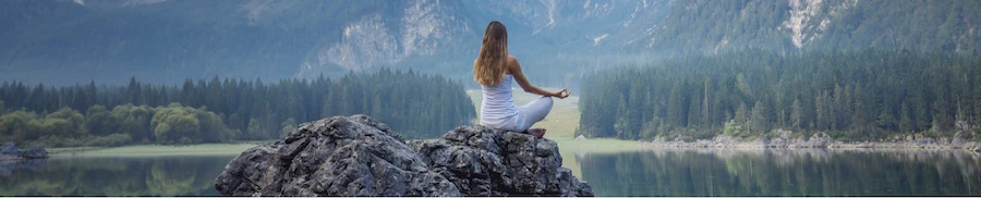 Basia Piechocinska cover