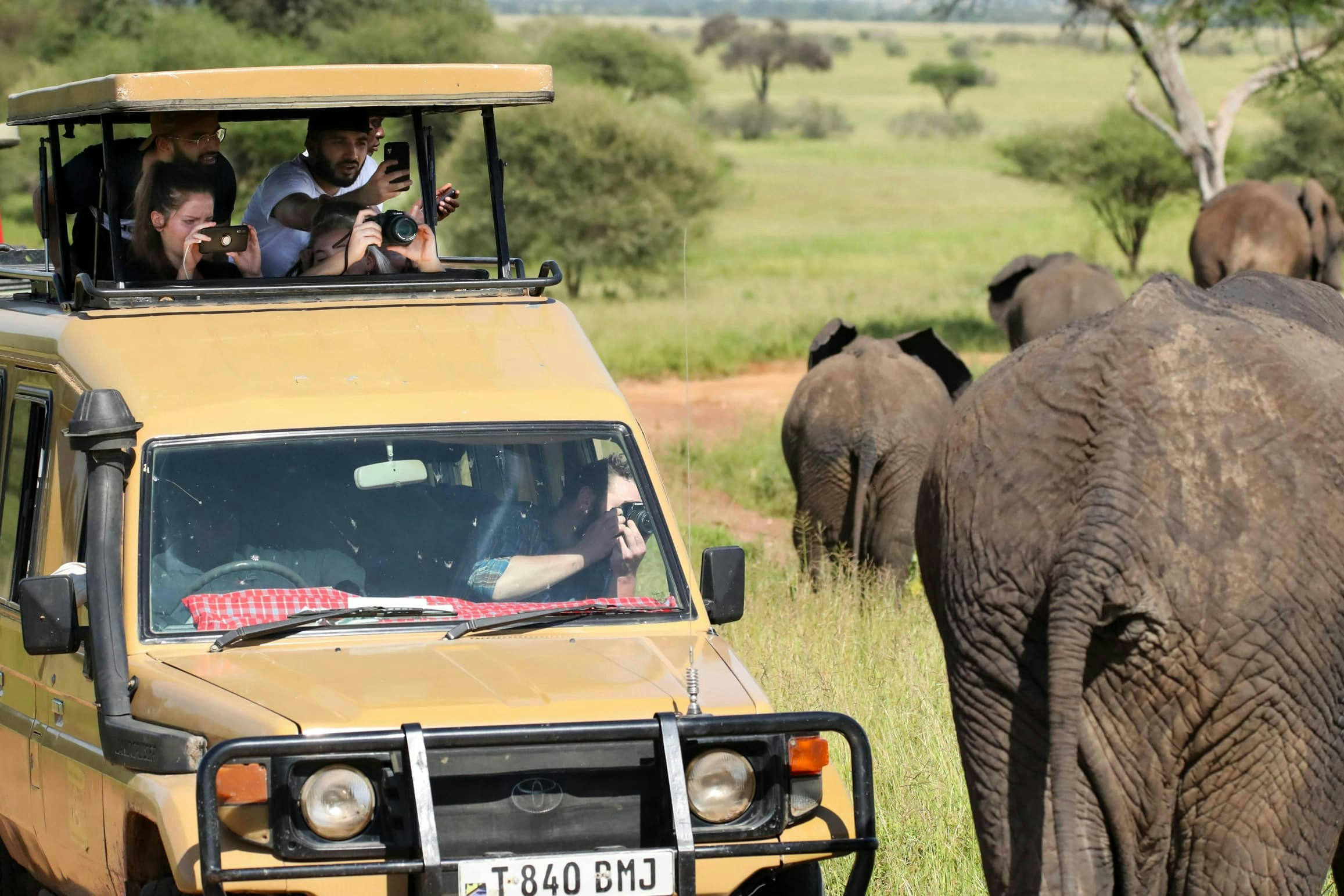 Africantrust Safari gallery image