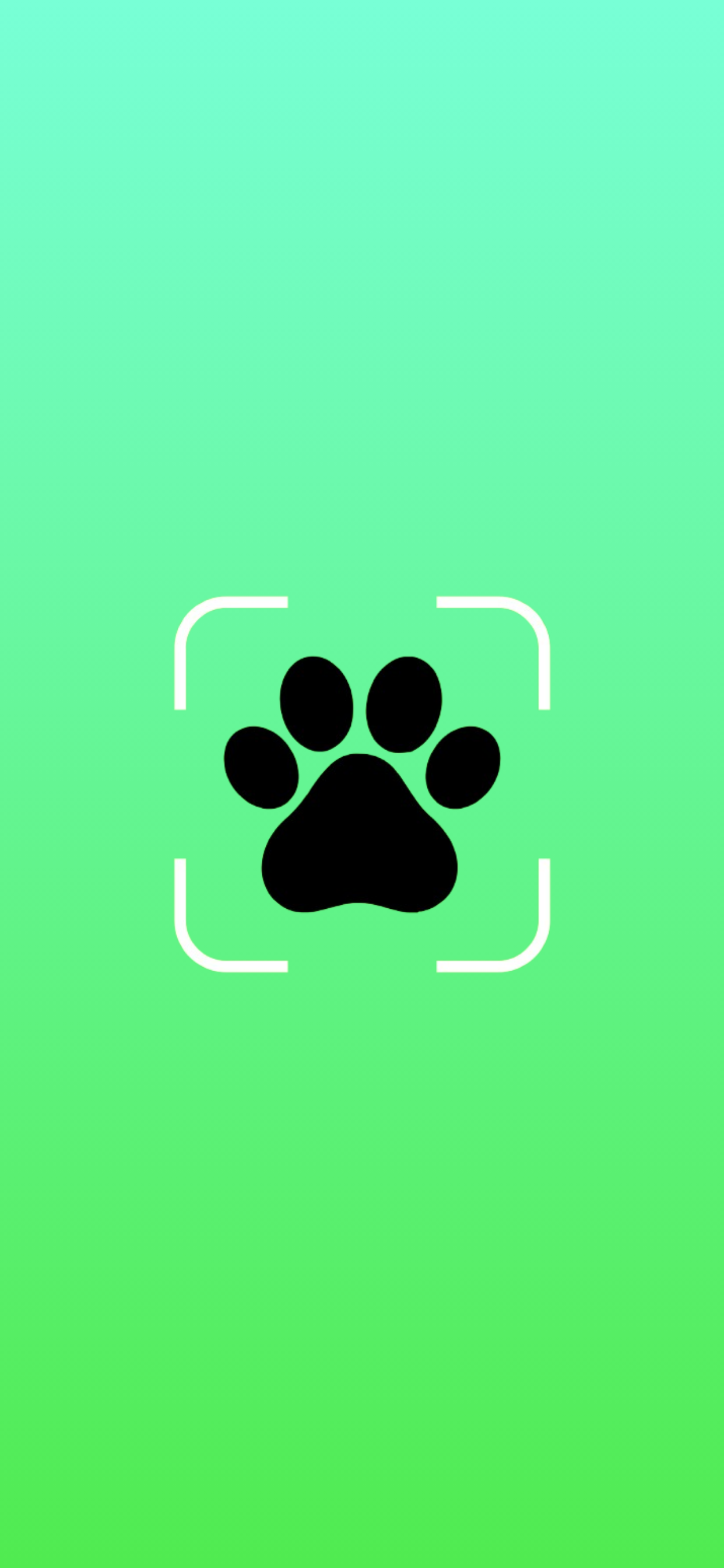 Média Paody - Le scanner de nourriture pour animaux 7
