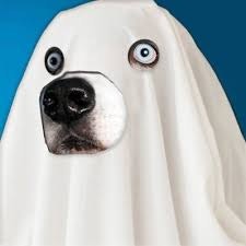 #WeRateDogs Book gallery image