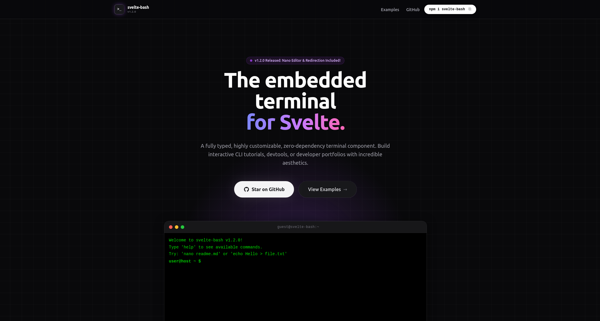 Svelte Bash - Main product screenshot demonstrating key features and user interface