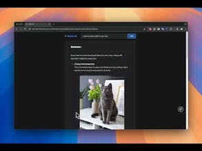 Album AI - AI-First Album gallery image