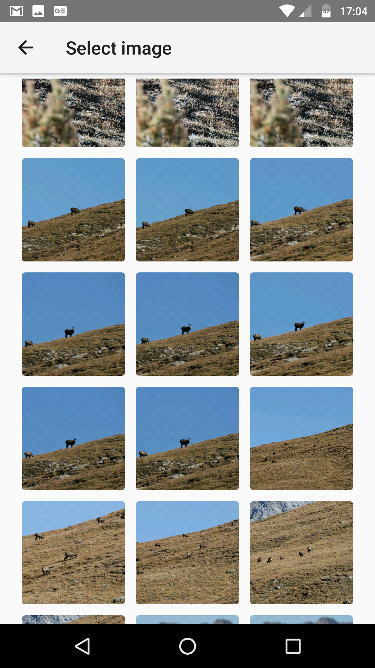 Photo Compare gallery image