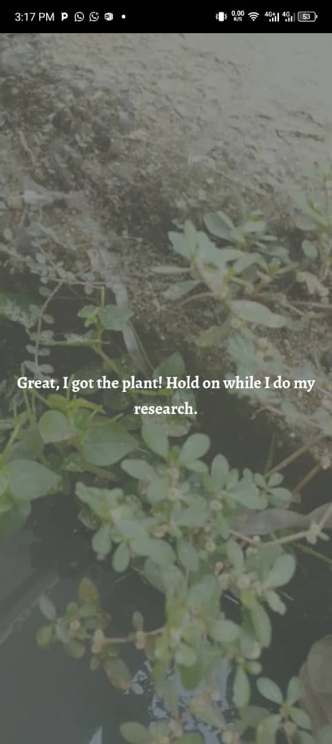 Plant seer - Screenshot 3 showing product features and functionality