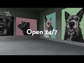 Virtual Art Gallery gallery image