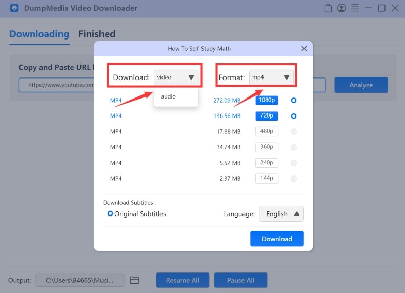 Trình tải xuống video DumpMedia media 2