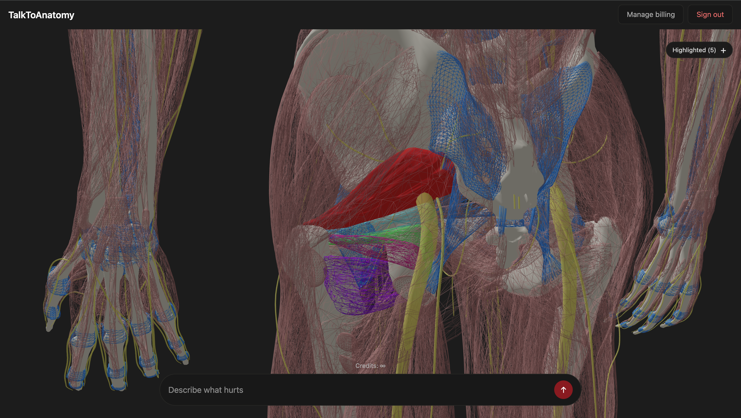 TalktoAnatomy gallery image