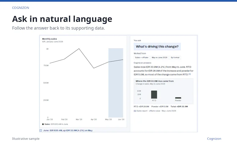 Cognizon AI screenshot 2