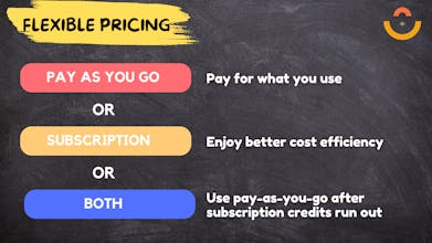 voice-vector.com gallery image