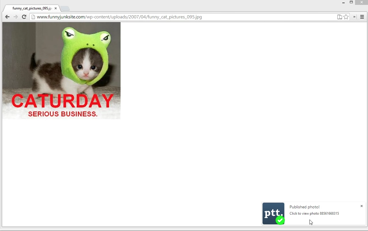 Post to Tumblr gallery image