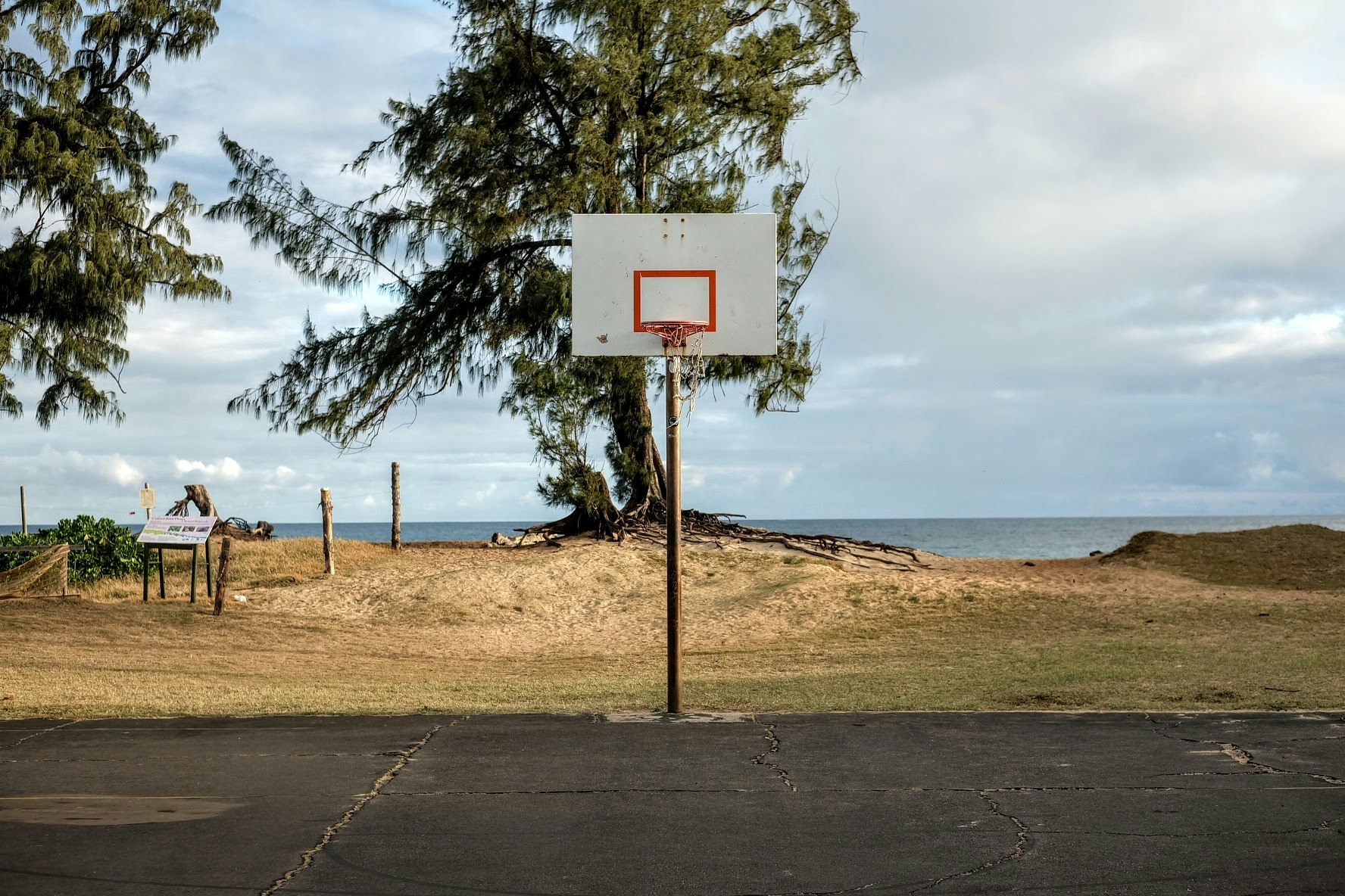 Basketball Is Fun gallery image