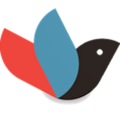 TokBird Show