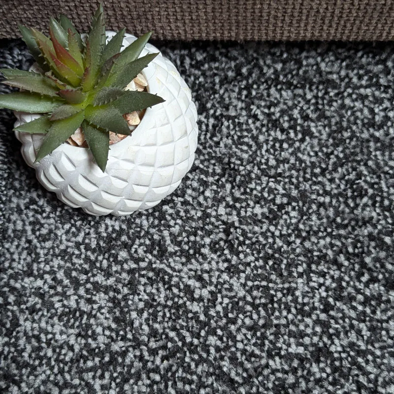 Carpets Online