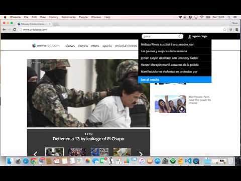 Polyglot Plugin for Chrome
