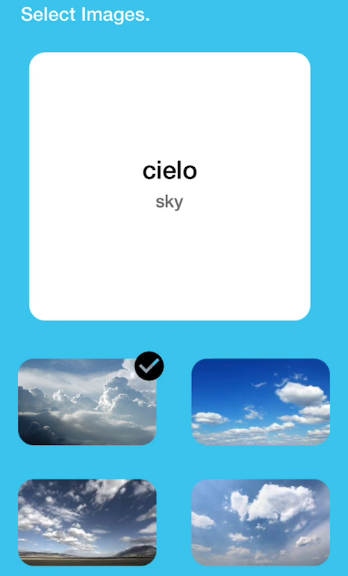 Fluent Forever Language Learning App gallery image