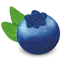 BilberryDB