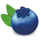 BilberryDB