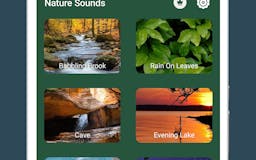 Nature Sounds to Sleep media 1