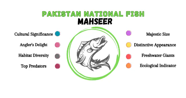 Pakistan National Fish gallery image