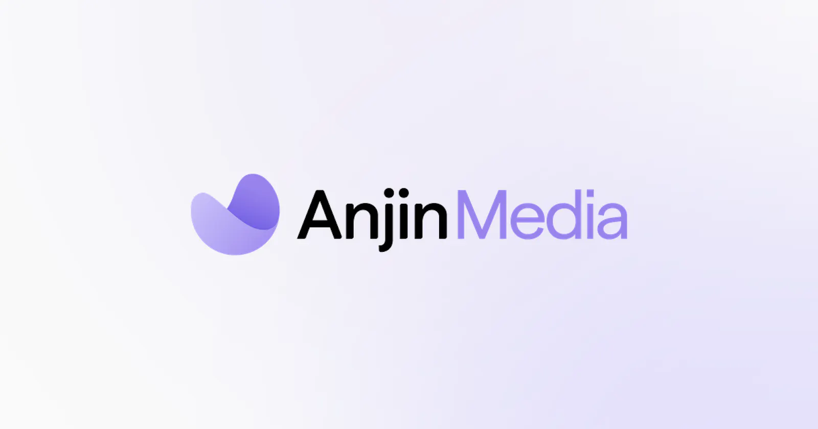 Anjin Media screenshot 1