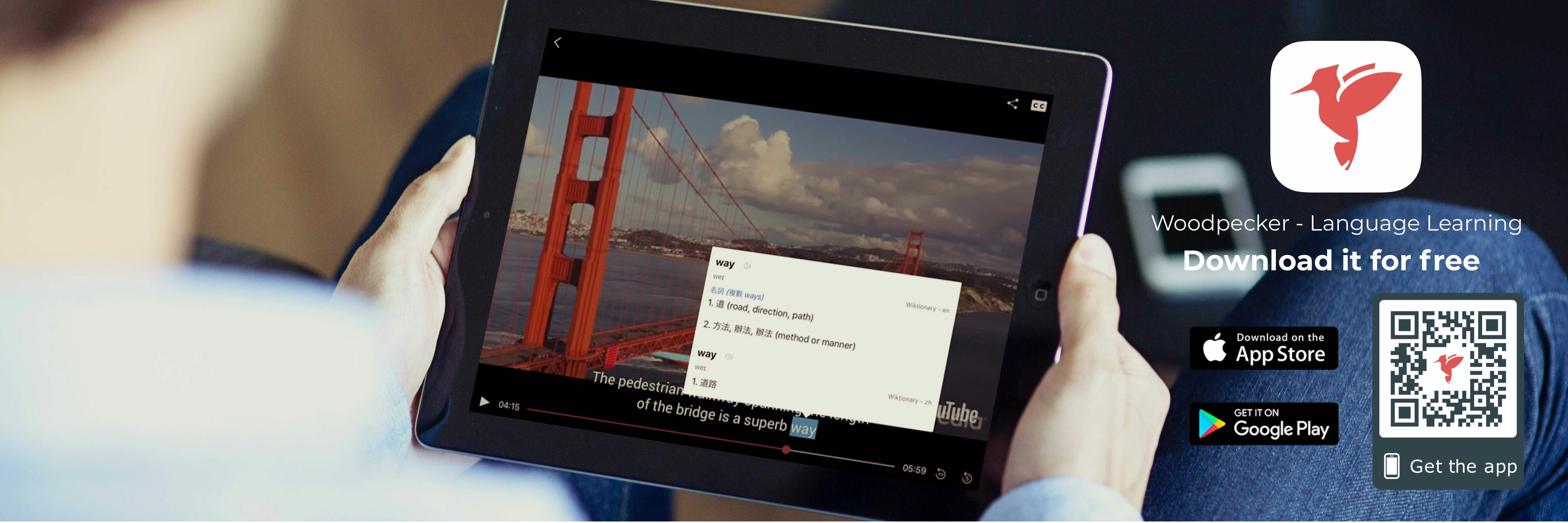 Woodpecker - Language Learning gallery image