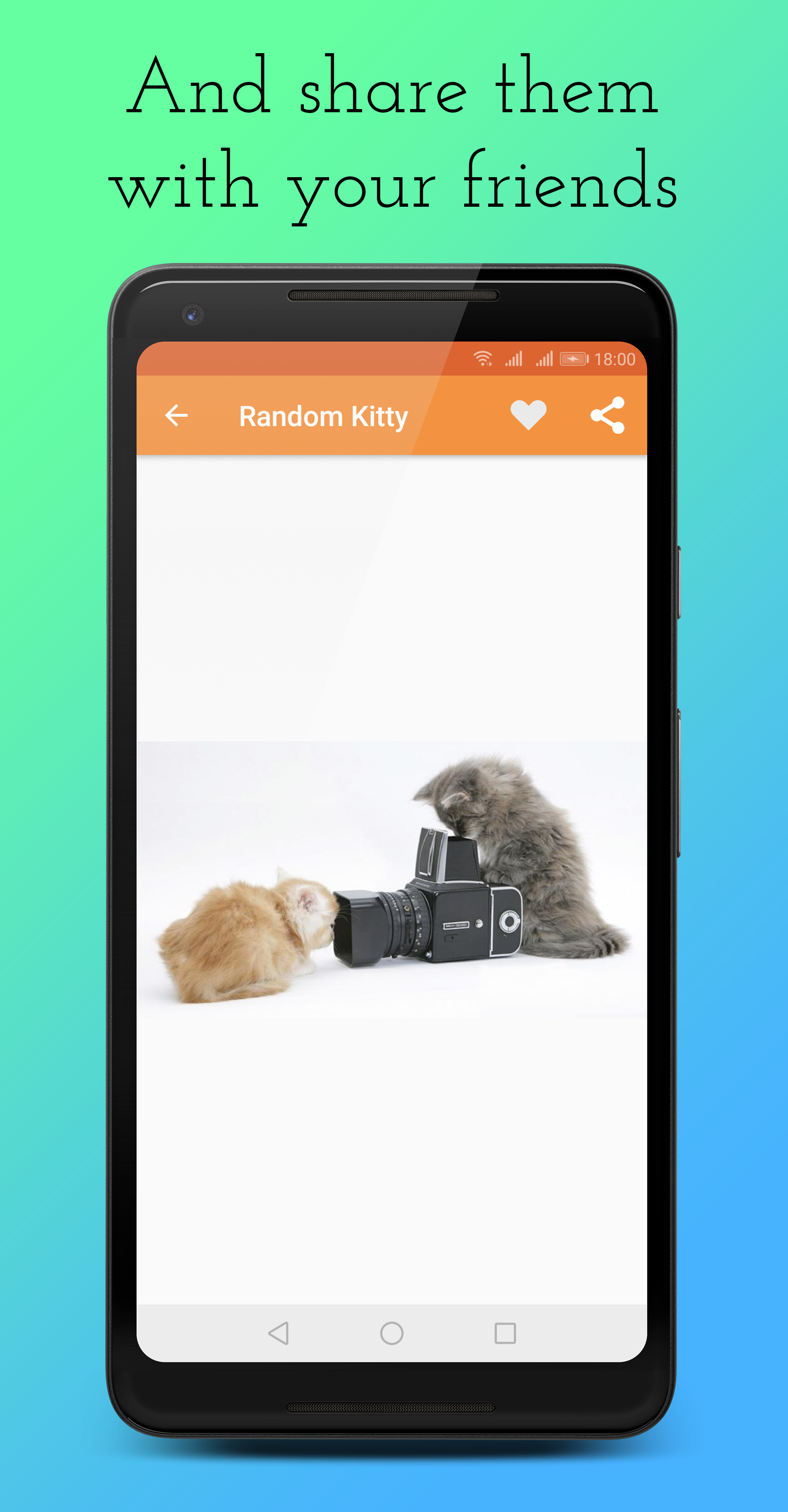 Random Kitty gallery image