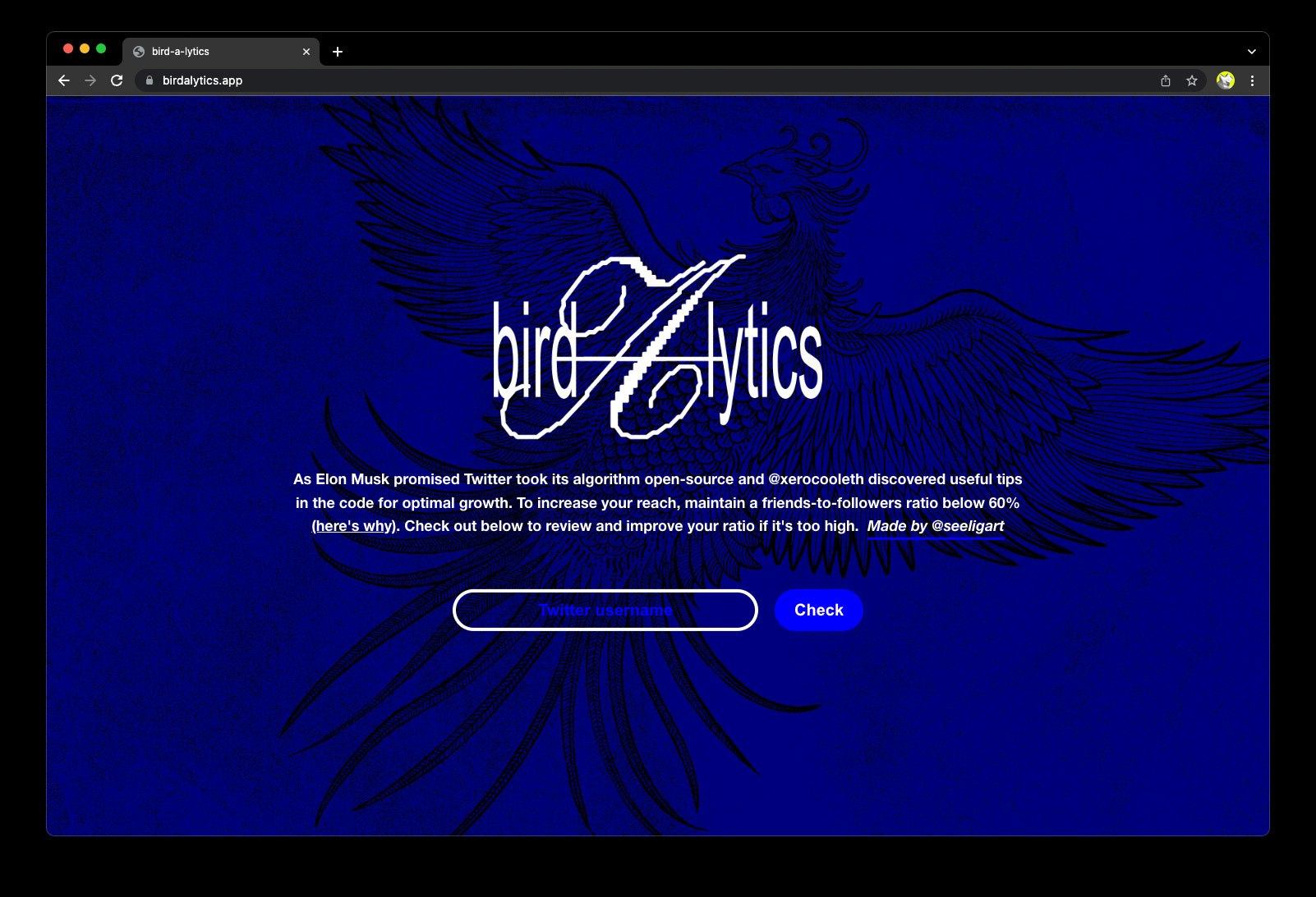 bird-a-lytics gallery image