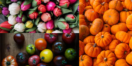 Pixobe gallery image