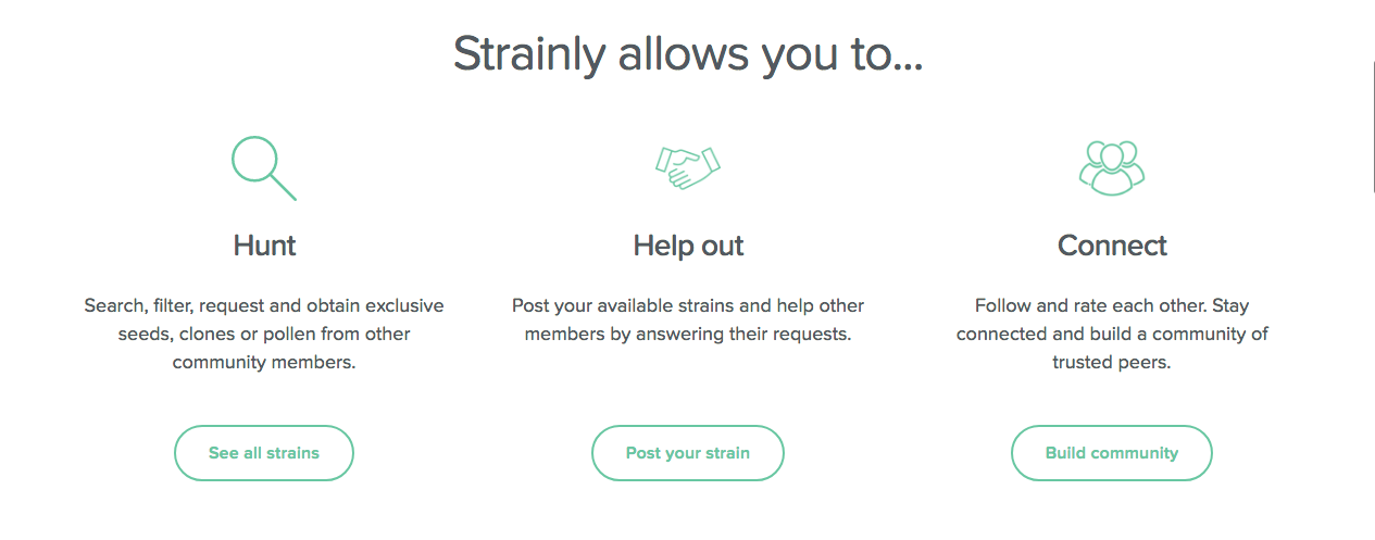 Strainly gallery image