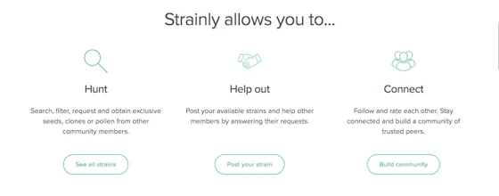 Strainly gallery image