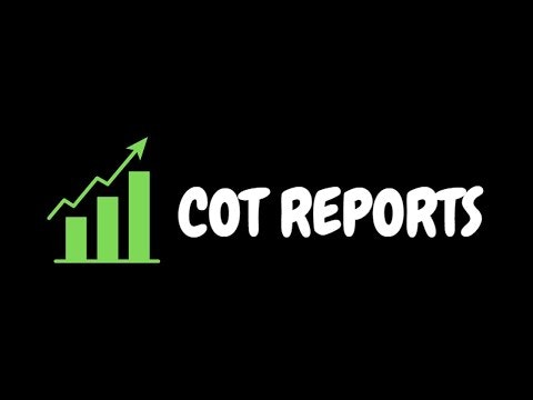 COT Reports gallery image