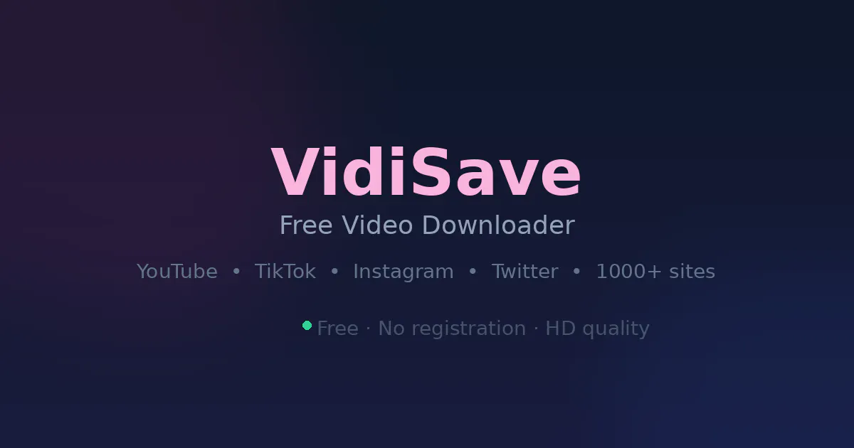 VidiSave gallery image